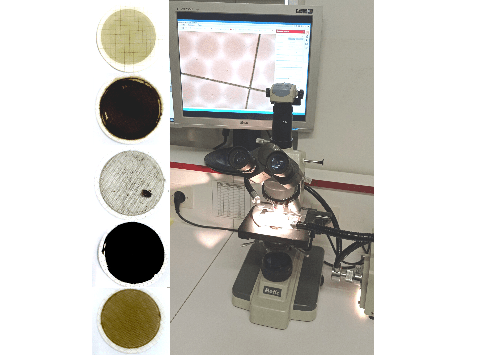 Les analyses membrane au laboratoire Themis