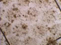 Resins